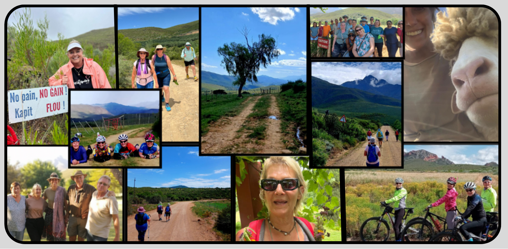 Staproetes_Landing_02